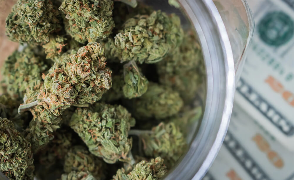 Weed Thailand 